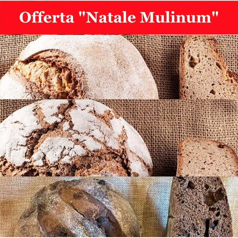 Dalla Calabria al resto d’Italia, per il rinascimento dei grani locali ...